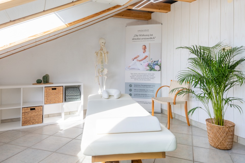 Bewegungsjuwel Andrea Hambrecht Tamm Ablauf Schmerztherapie